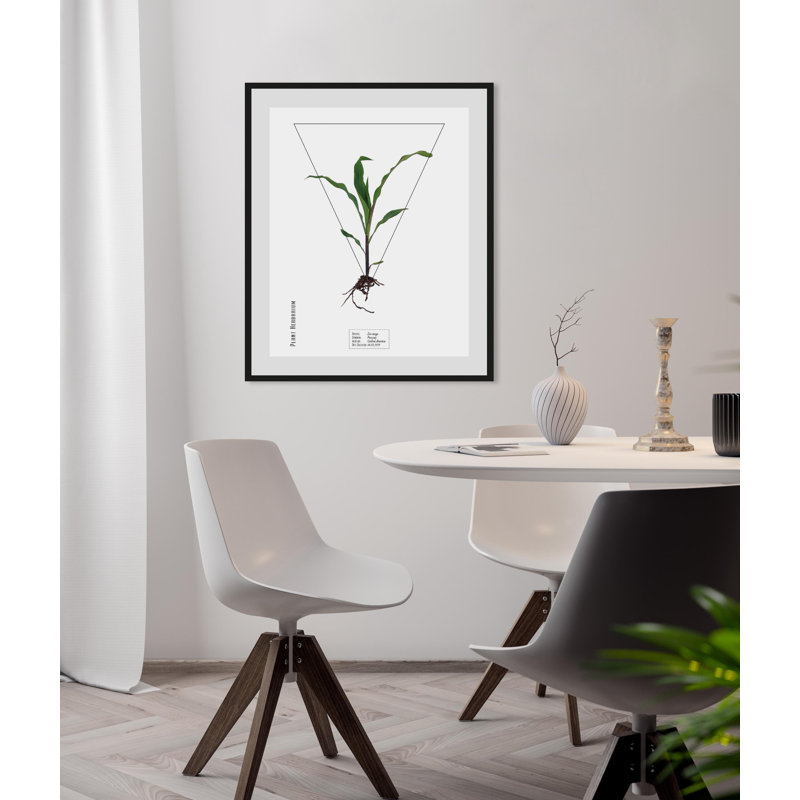 Plant - Single Picture Frame Print