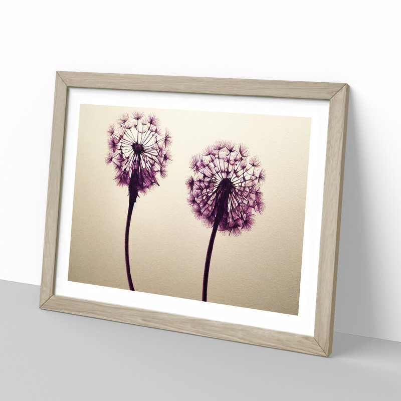 Dandelion Watercolour - Framed Print, 46cm H x 64cm W x 2cm D, Oak