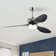 52'' ABS Blades Ceiling Fan With Lights And Remote