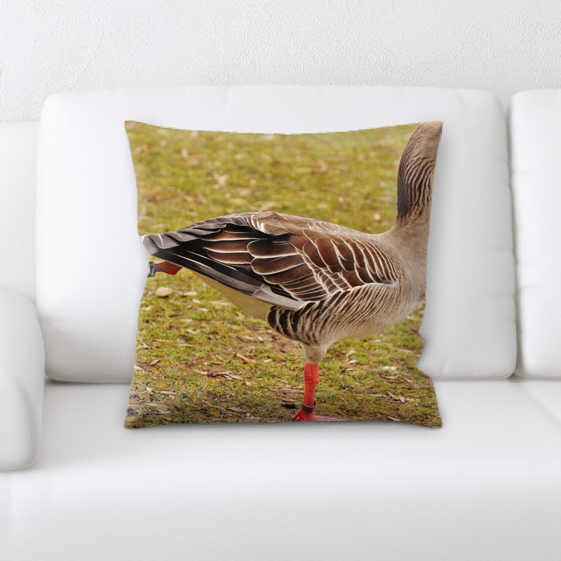 Coussin d’oie
