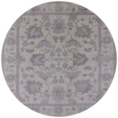 Arshavir Oriental Indoor Rug