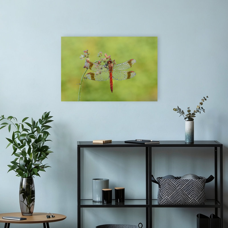 Morning Dew Dragonfly Delicate Peaceful Vibrant Dragonfly Flower Nature Wall Art Print 1 Piece Wrapped Canvas Wall Art