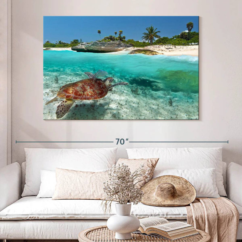 Caraïbes, île des tortues, H 34 po x l 51 po