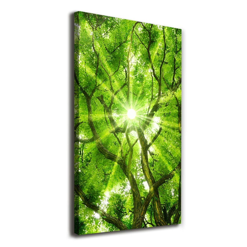 Crown Of Trees - Wrapped Canvas Print, 120cm H x 60cm W