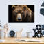 «Brown Bear» par Epic Portfolio, art mural en verre acrylique-1255913928