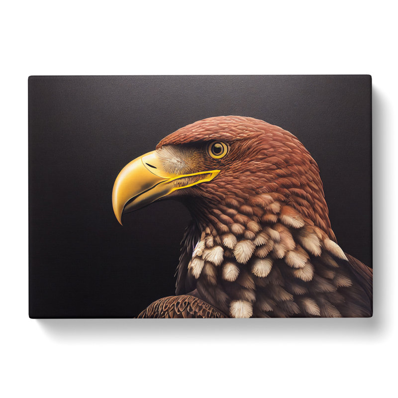 Euphoric Eagle Bird - Wrapped Canvas, 35cm H x 50cm W x 3cm D