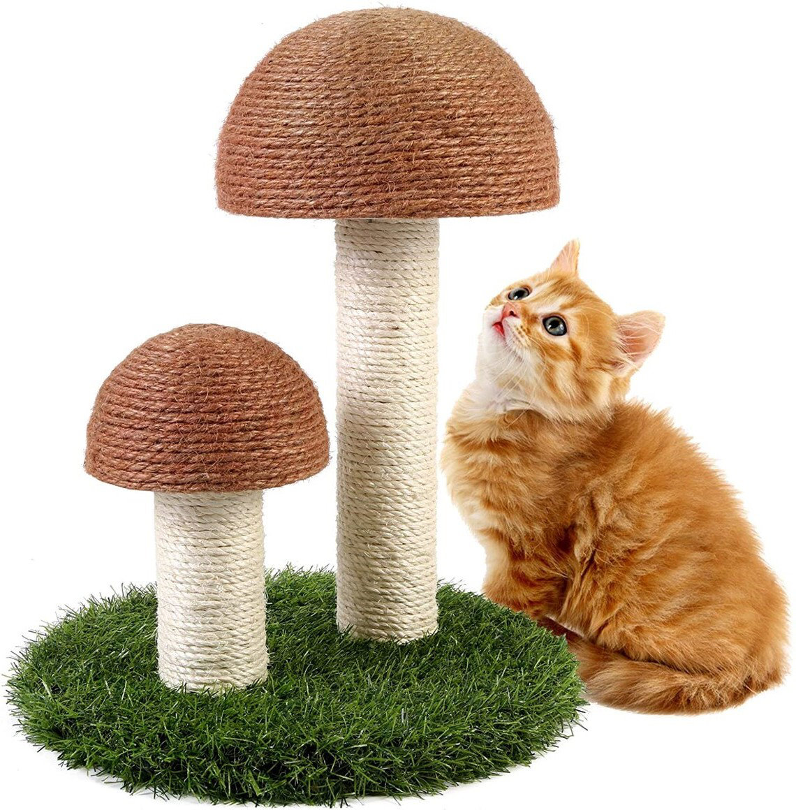 Lovely Caves 14" Cat Trees and Condos & Reviews Wayfair