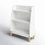 Kropf 31.5 H X 23.62 W Bookcase