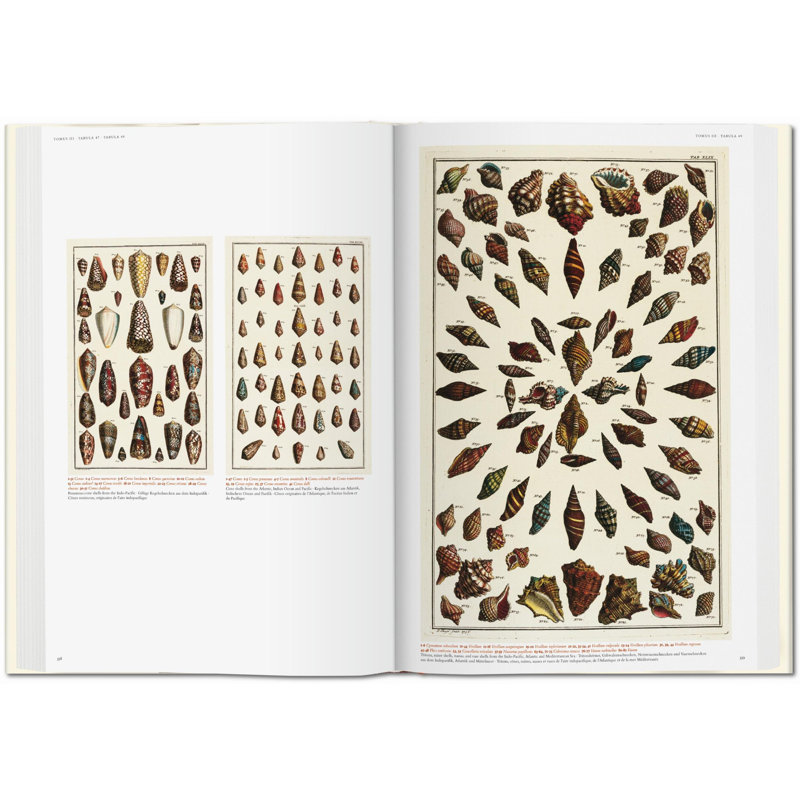 Seba Cabinet Of Natural Curiosities