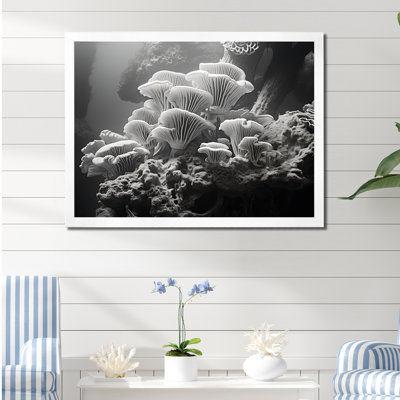 Anémone noire et blanche I sur toile