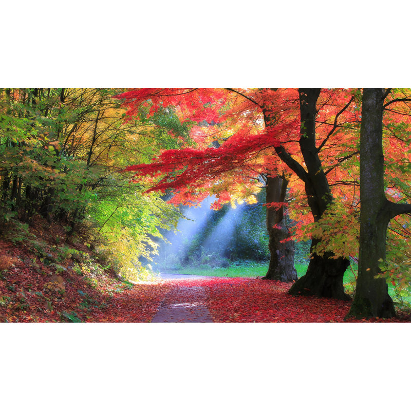 Crimson Canopy Walk Wrapped Canvas Wall Art, 24" H x 42" W