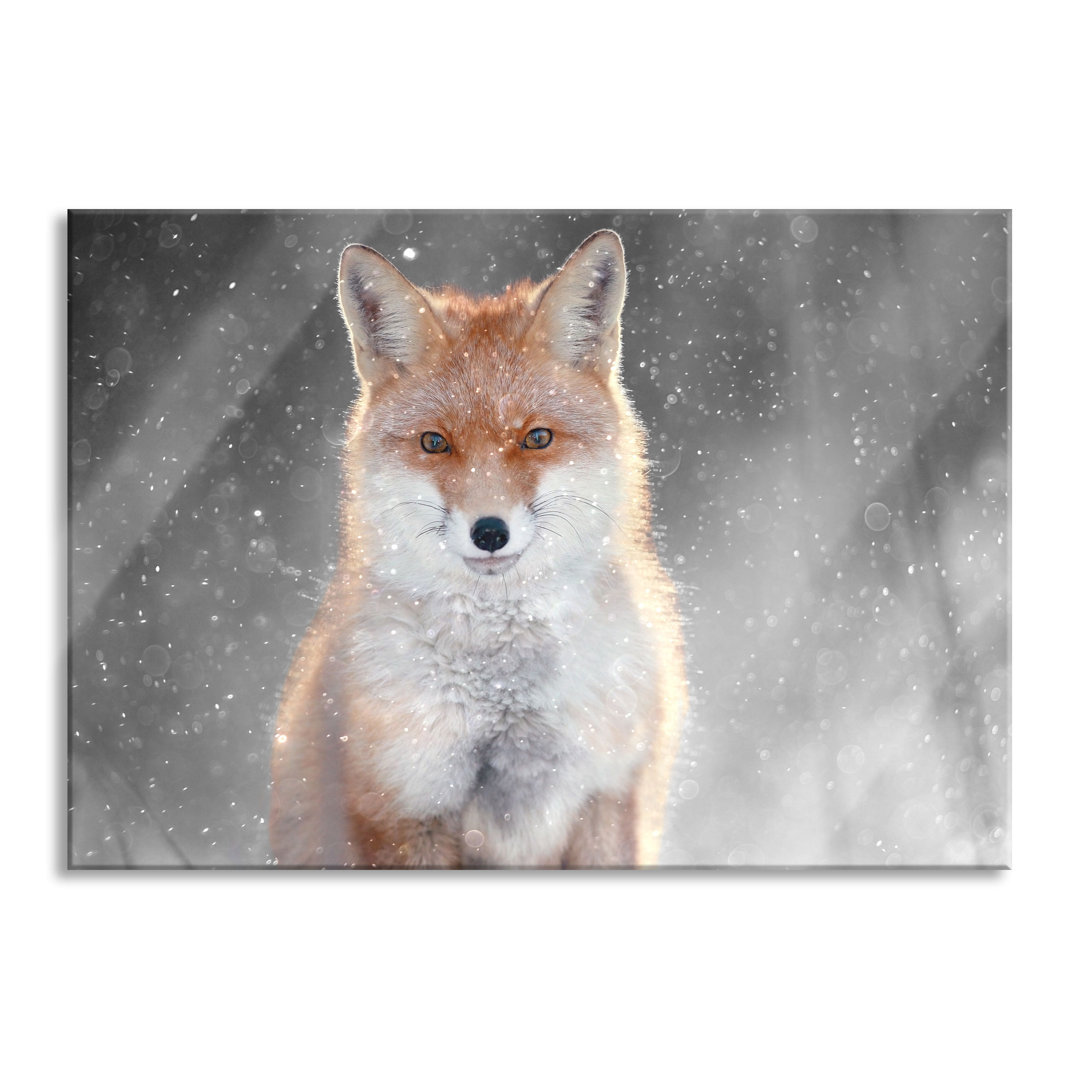 Glasbild Roter Fuchs im Winter