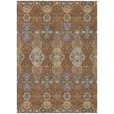 Machine Washable Indoor/Outdoor Chantille ACN2484 Global Rug
