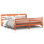 Storage Bed-1264889385
