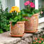 Pot à fleurs en argile Advithi-1050368699