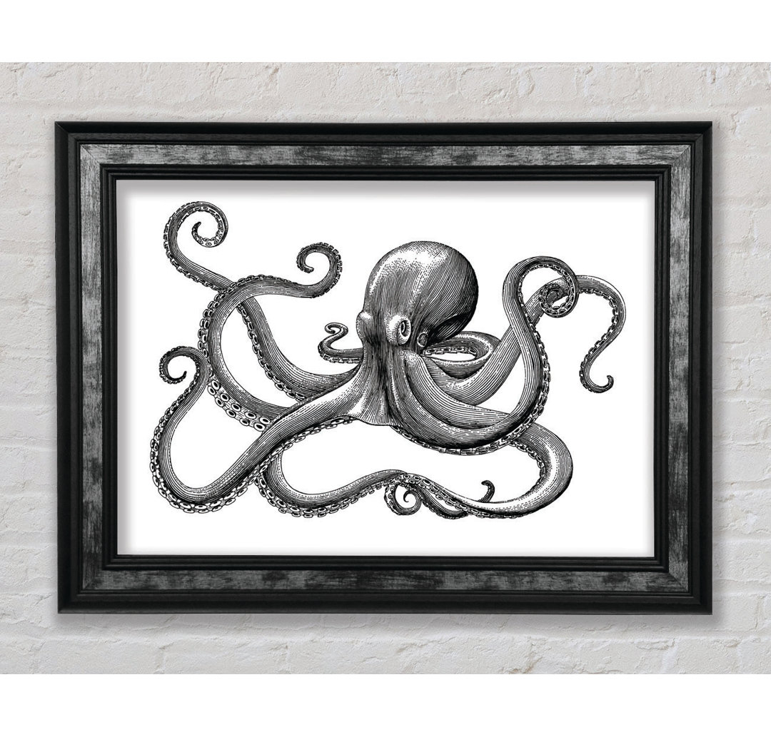 Oktopus Illustration - Einzelner Bilderrahmen Kunstdrucke