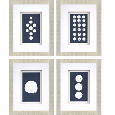 " Sand Dollars " 4 - Pieces