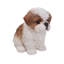 Statue de chiot Shih Tzu assis-16443397