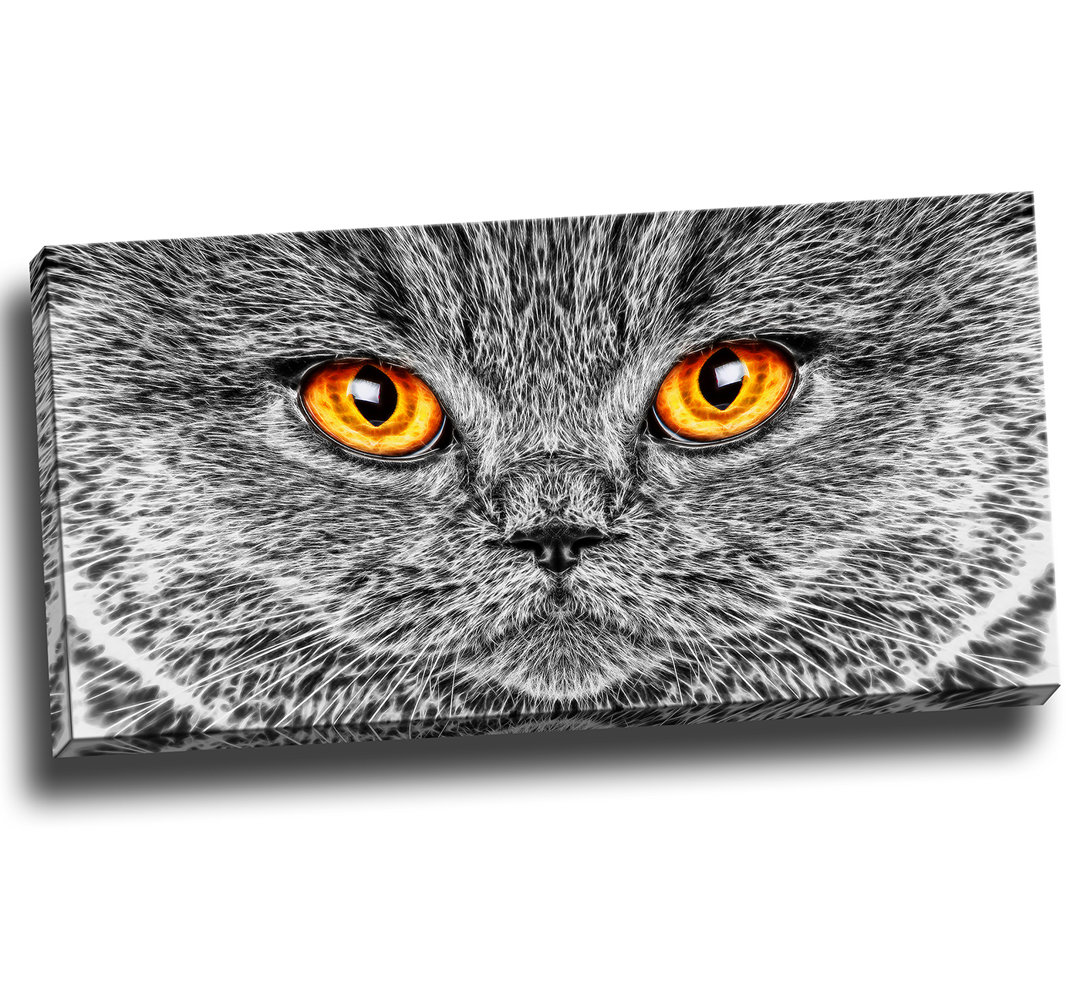 Modern & Contemporary Design Art