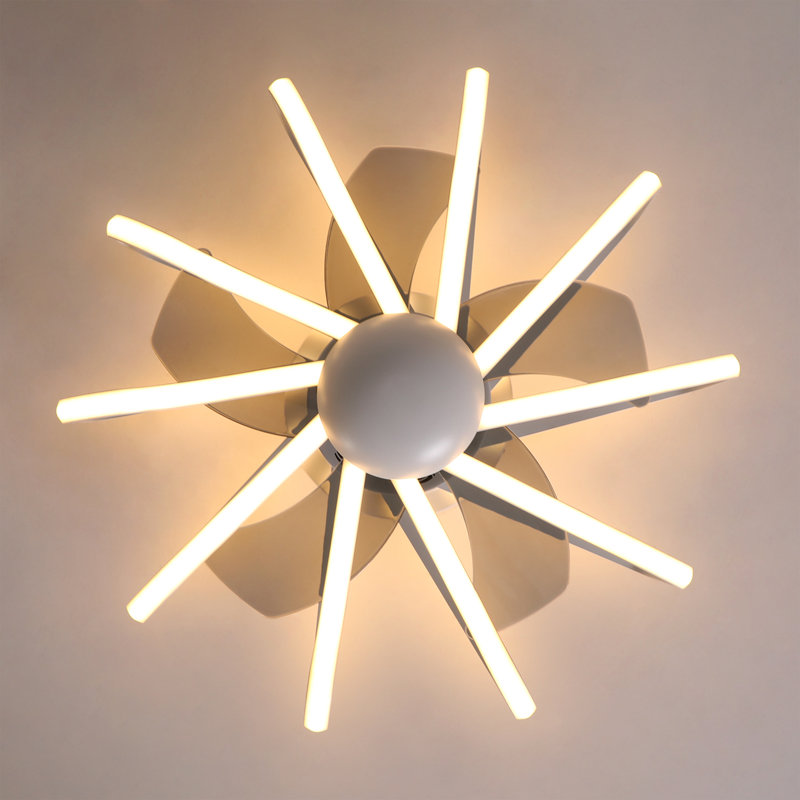 Dalayshia 22.44'' Ceiling Fan with LED Lights, White