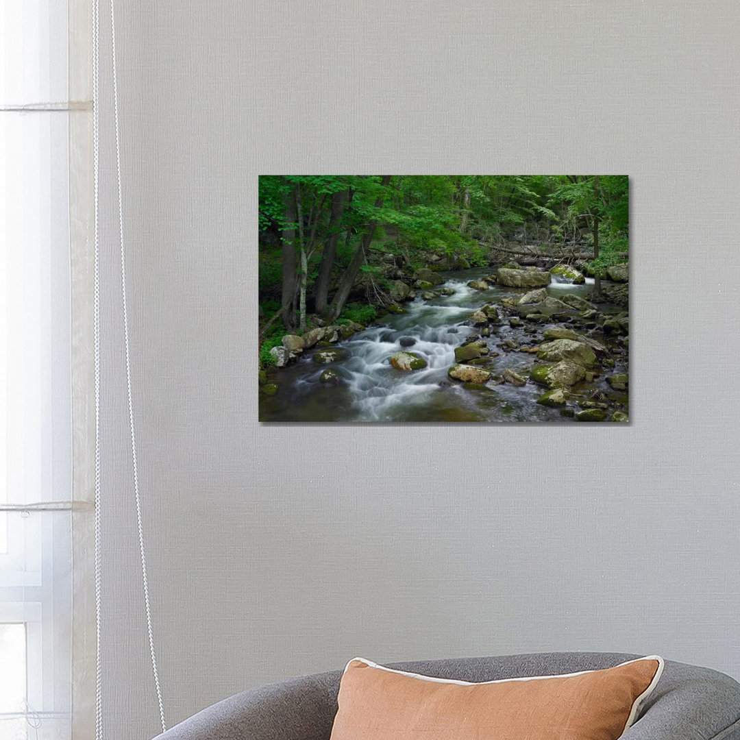 Little Stony Creek Flowing Through Jefferson National Forest, Virginia von Tim Fitzharris - Gallery-Wrapped Canvas Giclé...