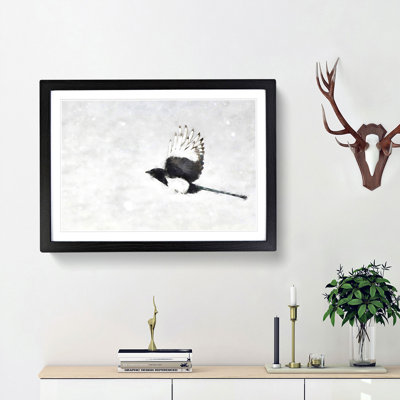 Magpie in Flight - Picture Frame Graphic Art Print