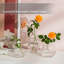 Jair Glass Table Vase-1541083353