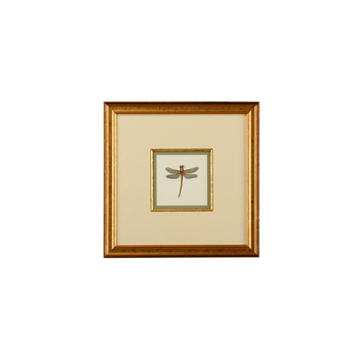 " Miniature Dragonfly II "