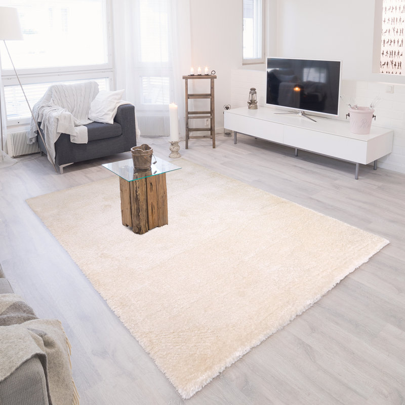 Tapis d'intérieur à poils longs Cason Anona, Rectangle 6 pi 6 po x 9 pi 6 po