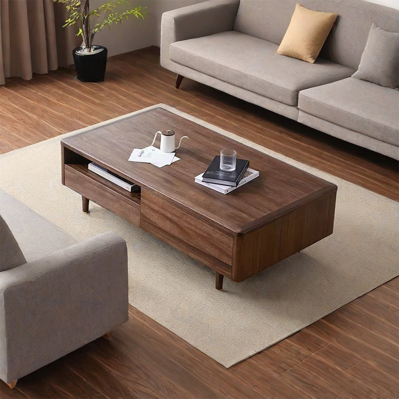 Retro simple TV stand coffee table combination