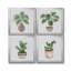 Boho Greenery I - ensemble de 4 reproductions d'art sur toile-60148780-60148786