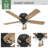 Shady Grove 52" 5 - Blade Ceiling Fan With Lights And Pull Chain-85433800