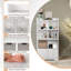 Mylani 120 cm H x 60 cm W Standard Bookcase