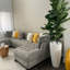 70" Fiddle Leaf Plant