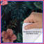 Housses de couette feuilles de jungle tropicale-129084210