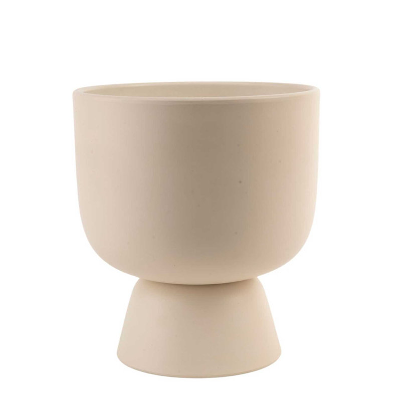 Parlor Palm Tree in Ceramic Planter