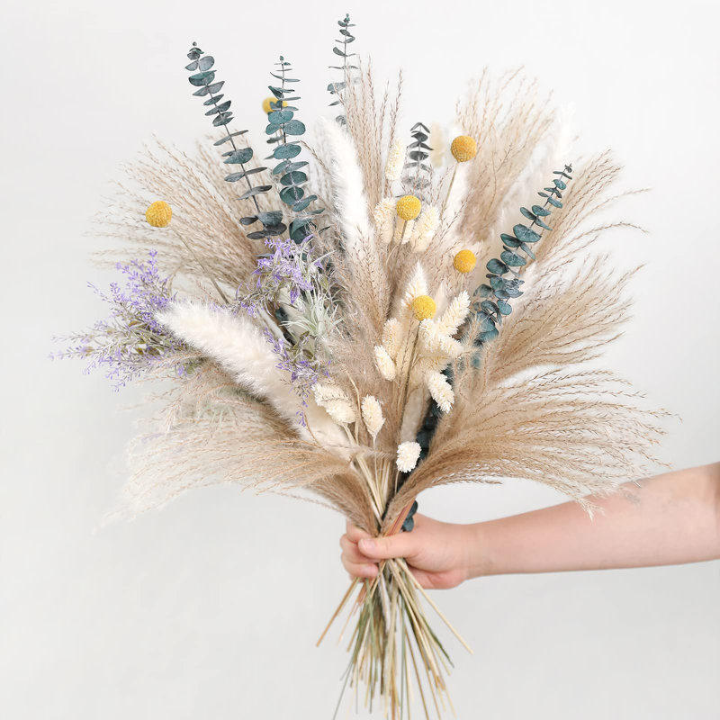 Aquin 17'' Pampas Grass Plant