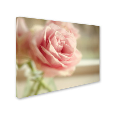 « rêvey rose », reproduction d’impression sur toile tendue