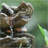 9X5x14" Indoor Brown Wood-Look Water Fountain, 4-Tier Polyresin Cascading Wood Tabletop Fountain With LED Light