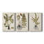 Fern Botanical IV - Ensemble de 3 toiles tendues-913097441