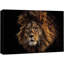 Animaux, safari africain, lion de la jungle sur toile-93629150-93629151