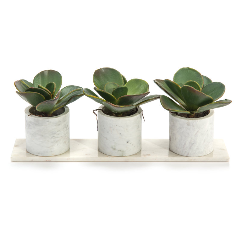 Faux Succulent Plant in Pot