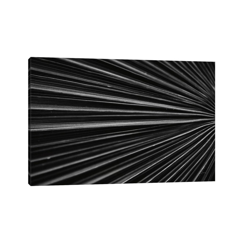 Tropical IV by Aledanda - Wrapped Canvas Gallery-Wrapped Canvas Giclée, 20.32 cm H x 30.48 cm W