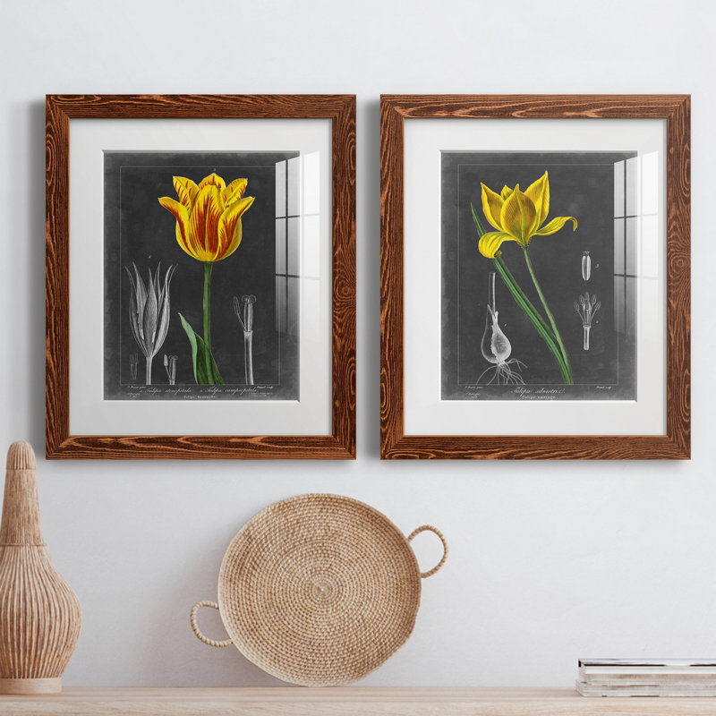 «Midnight Tulip», reproduction encadrée prémium, H 24 po x l 36 po x P 1,5 po, Papier avec cadre érable, Blanc