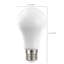 13.5 Watt LED Bulb-64089517