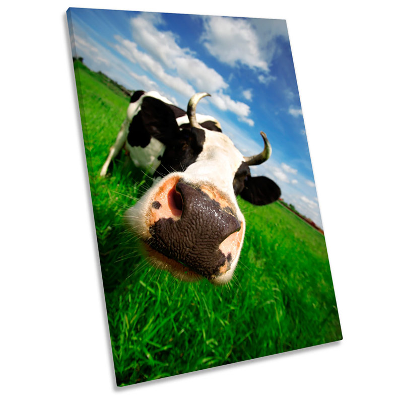 X0322 Funky Cow Face - Wrapped Canvas Print, 48cm H x 32cm W x 4cm D