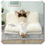 Canapé-lit Bean Bag-596878861