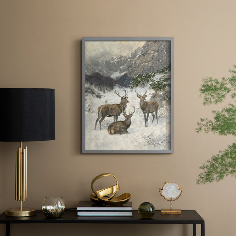 «Vintage Animal Print», reproduction encadrée en bois massif, Gris, H 11 po x l 9 po