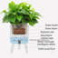 Wood Plant Pot
