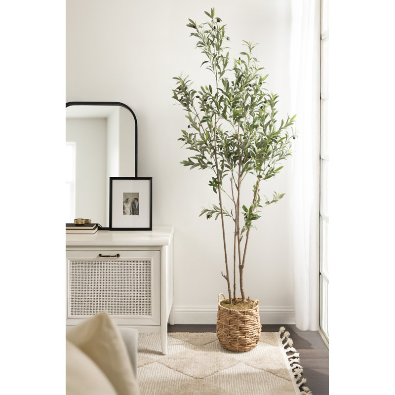 Oliveira Oliveira avec panier tissé Livia, 60 po x 24 po, Naturel, Pot à fleurs Livia